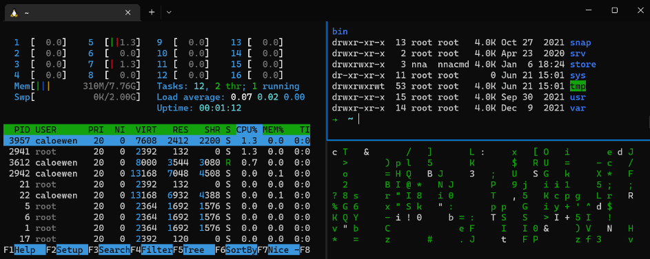 WSL 2 發行版現在支援 Windows Server